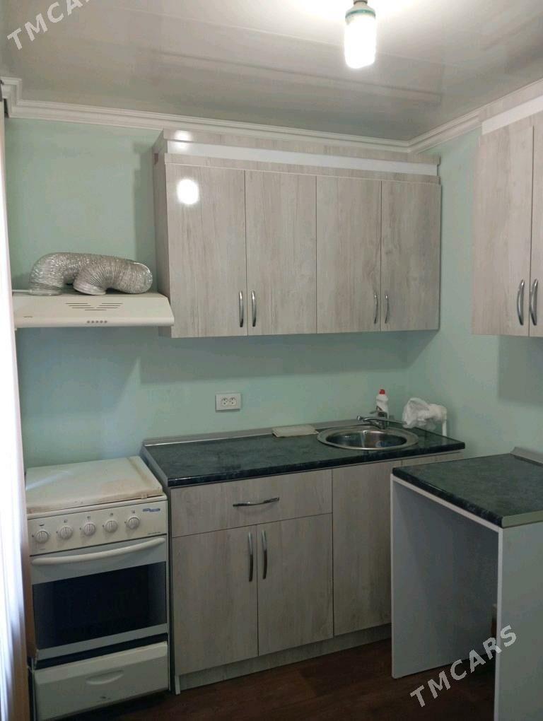 Satlyk jay  - Мары - img 7