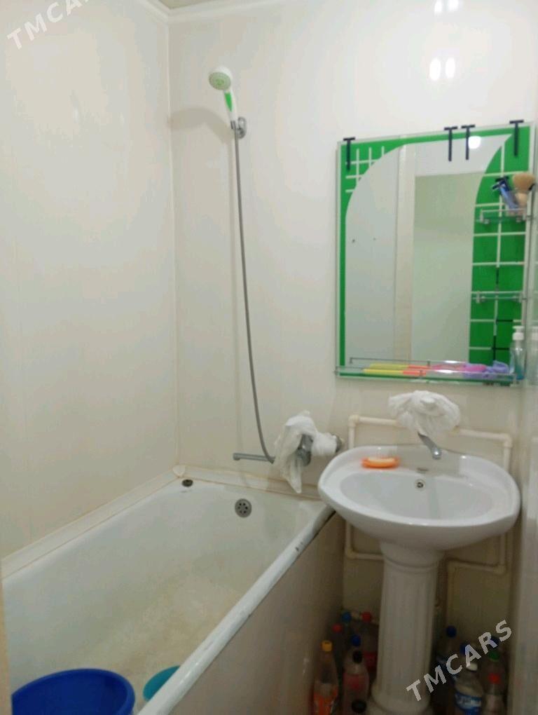 Satlyk jay  - Мары - img 8