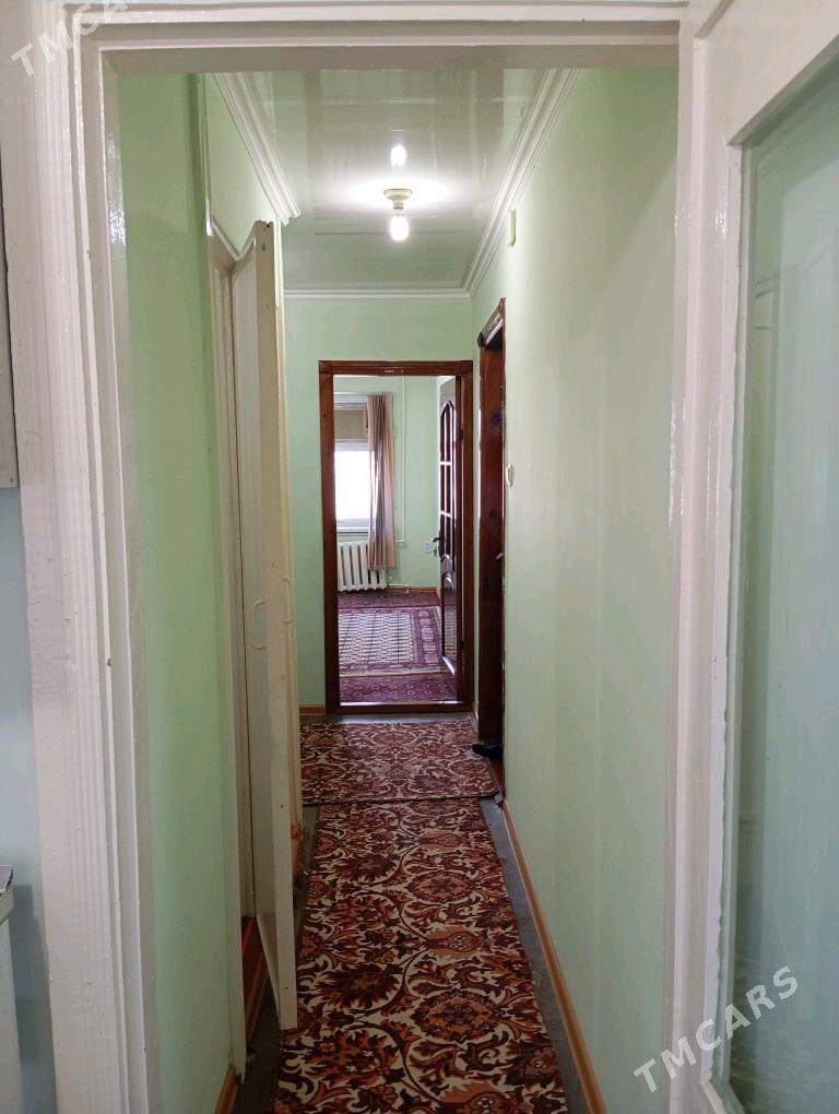 Satlyk jay  - Мары - img 5