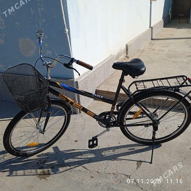 taze tigir - Ak bugdaý etraby - img 2