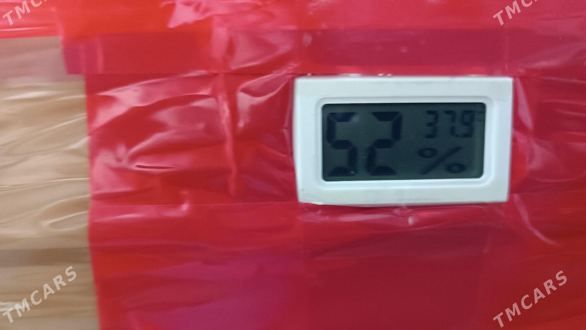 inkubator - Mary - img 9