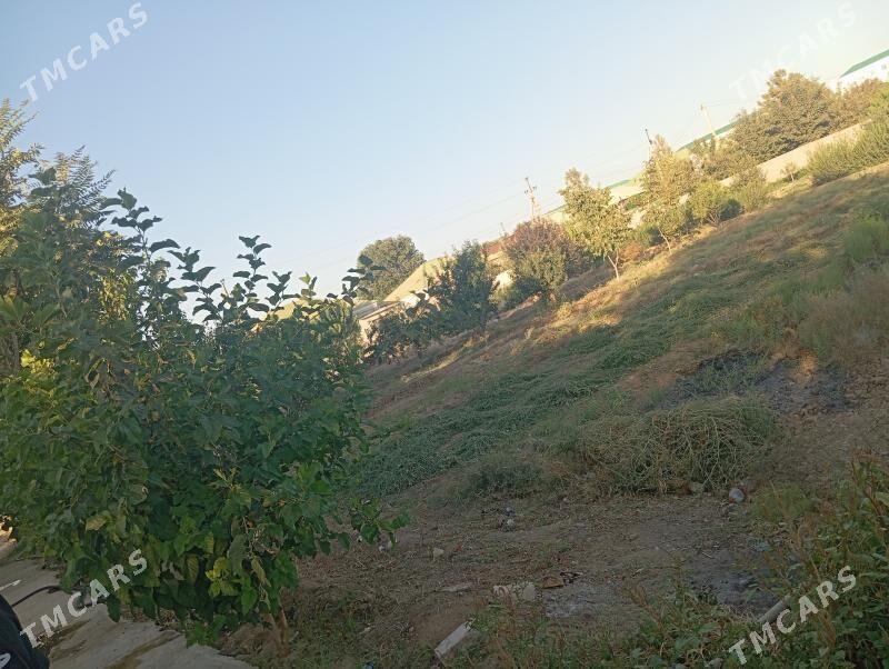 Herrikgala - Aşgabat - img 2