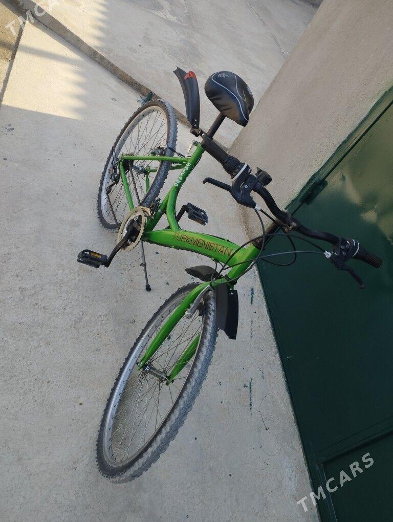 ŵelik tigir  - Balkanabat - img 2