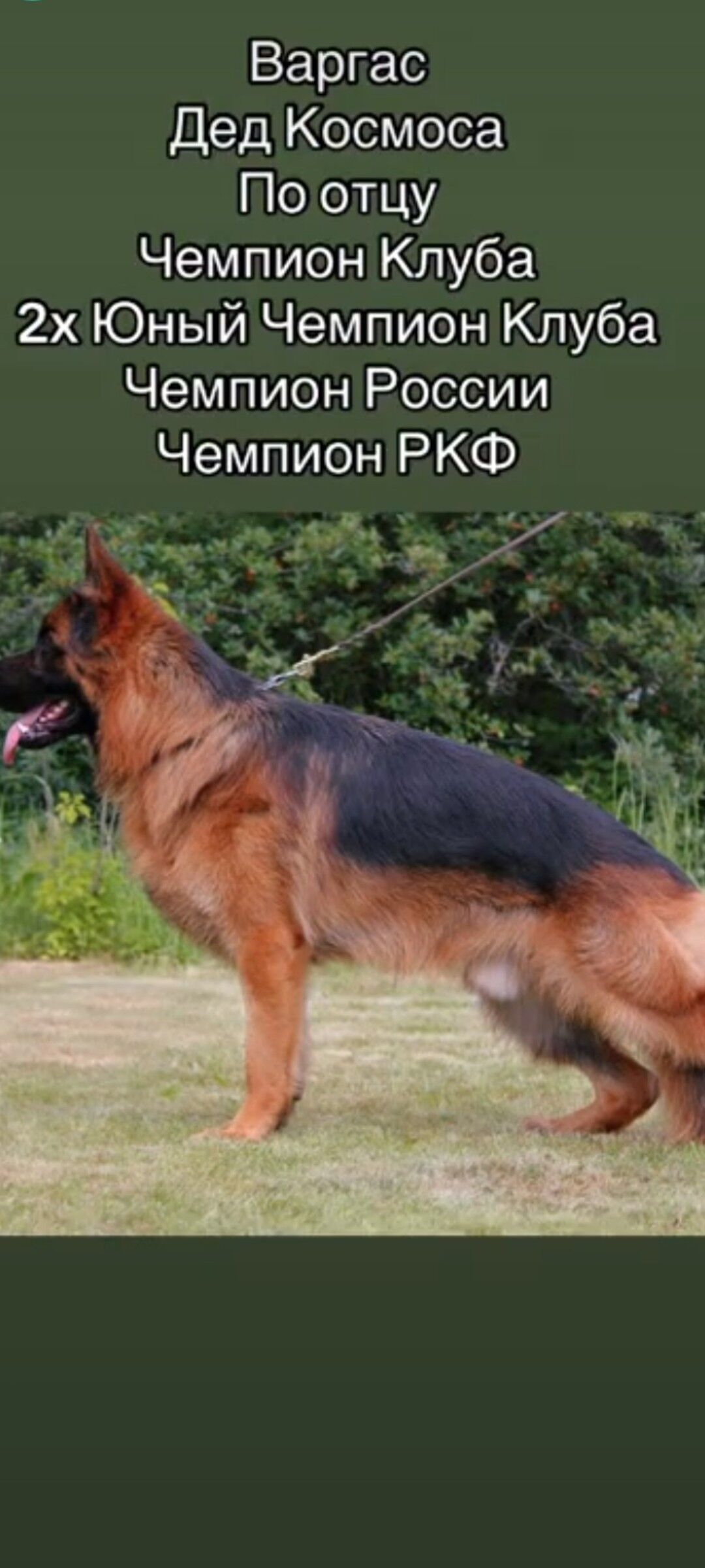 Afcarak - Ашхабад - img 2