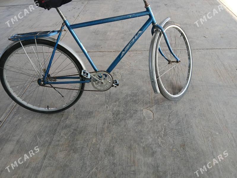 tigir - Бузмеин - img 5