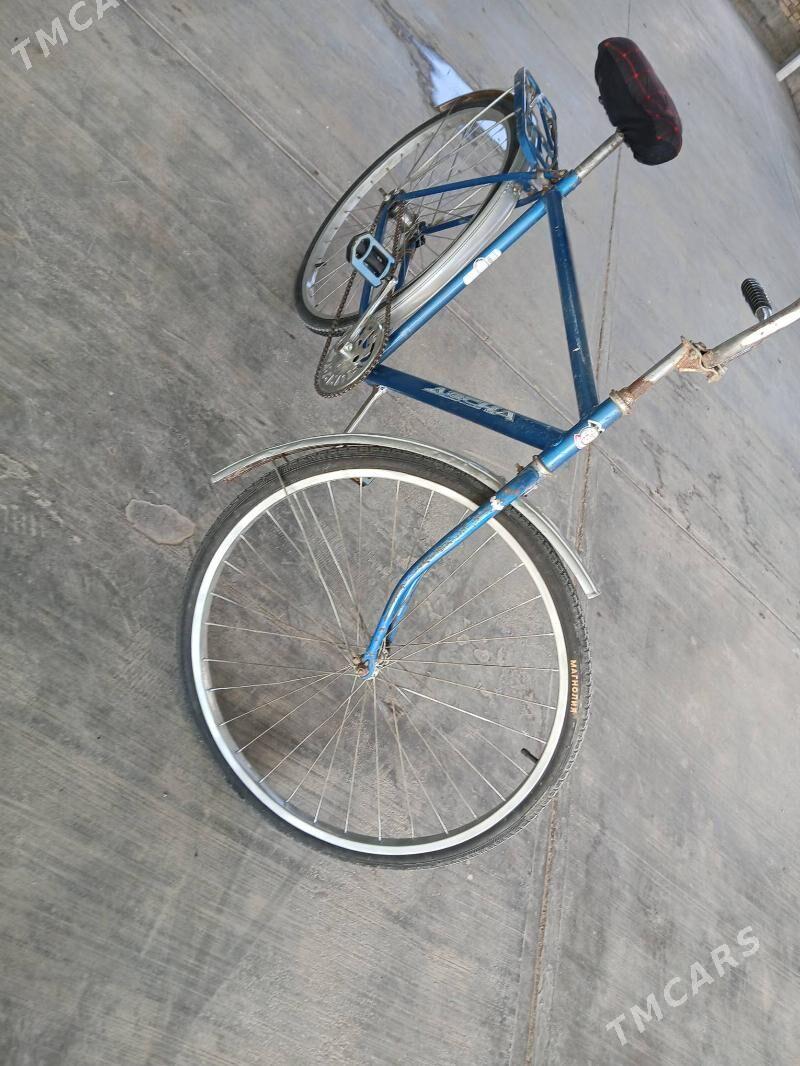 tigir - Бузмеин - img 6