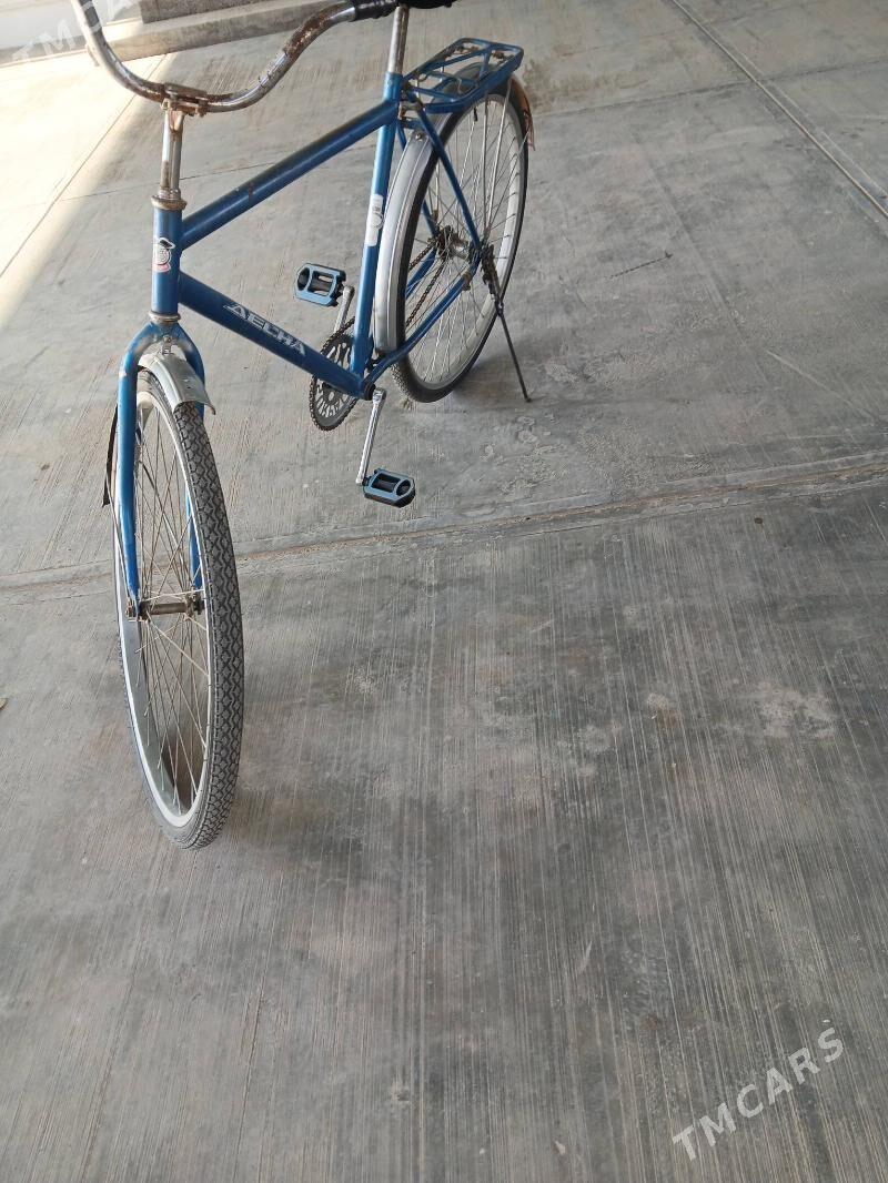 tigir - Бузмеин - img 4