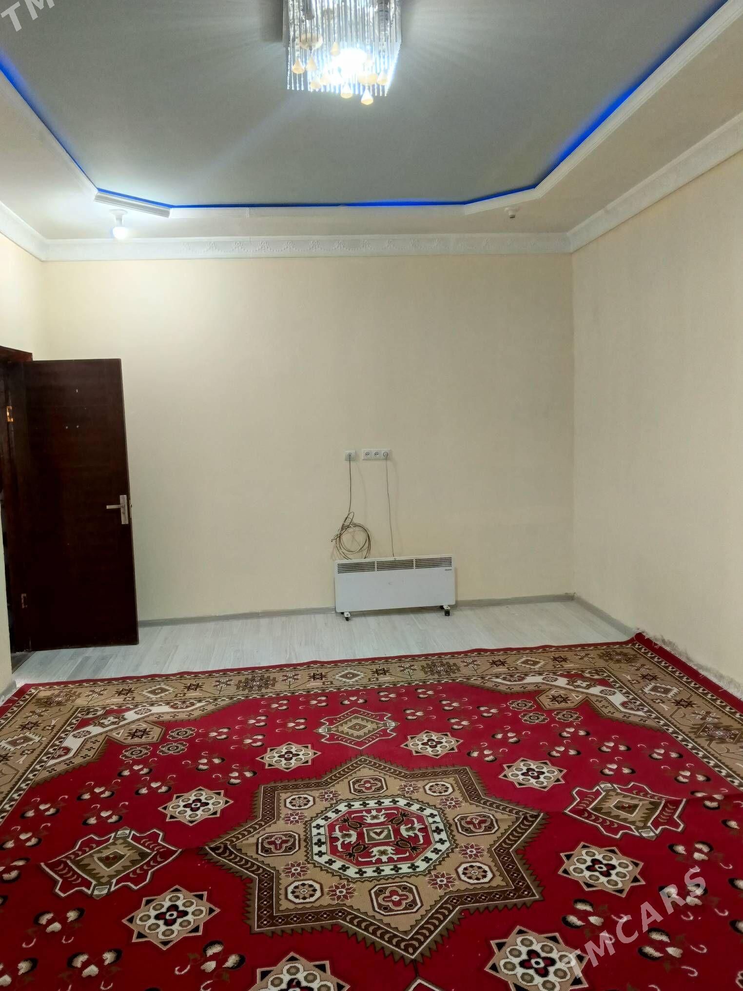 kwartyra - Gökje - img 2