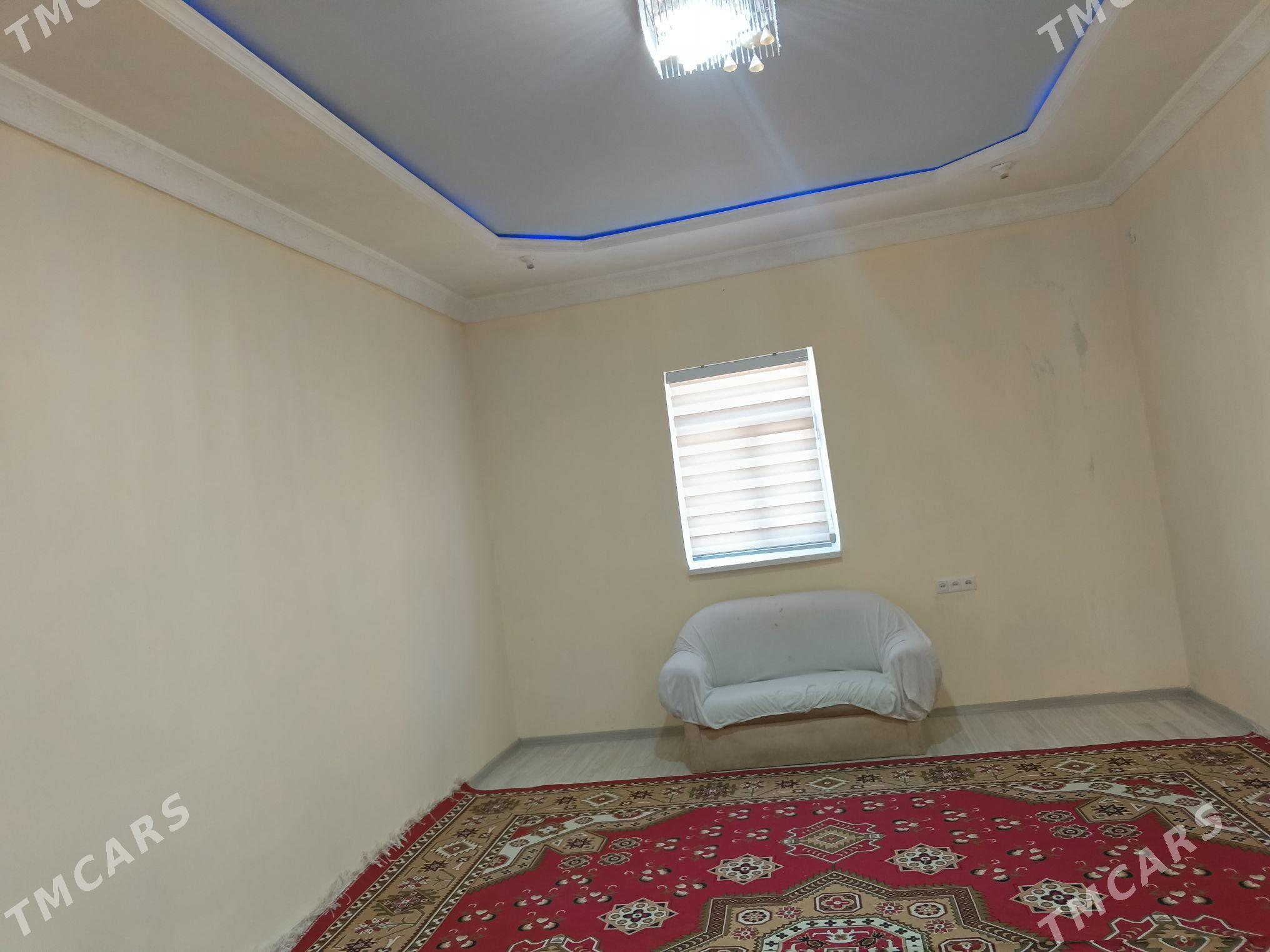 kwartyra - Gökje - img 3