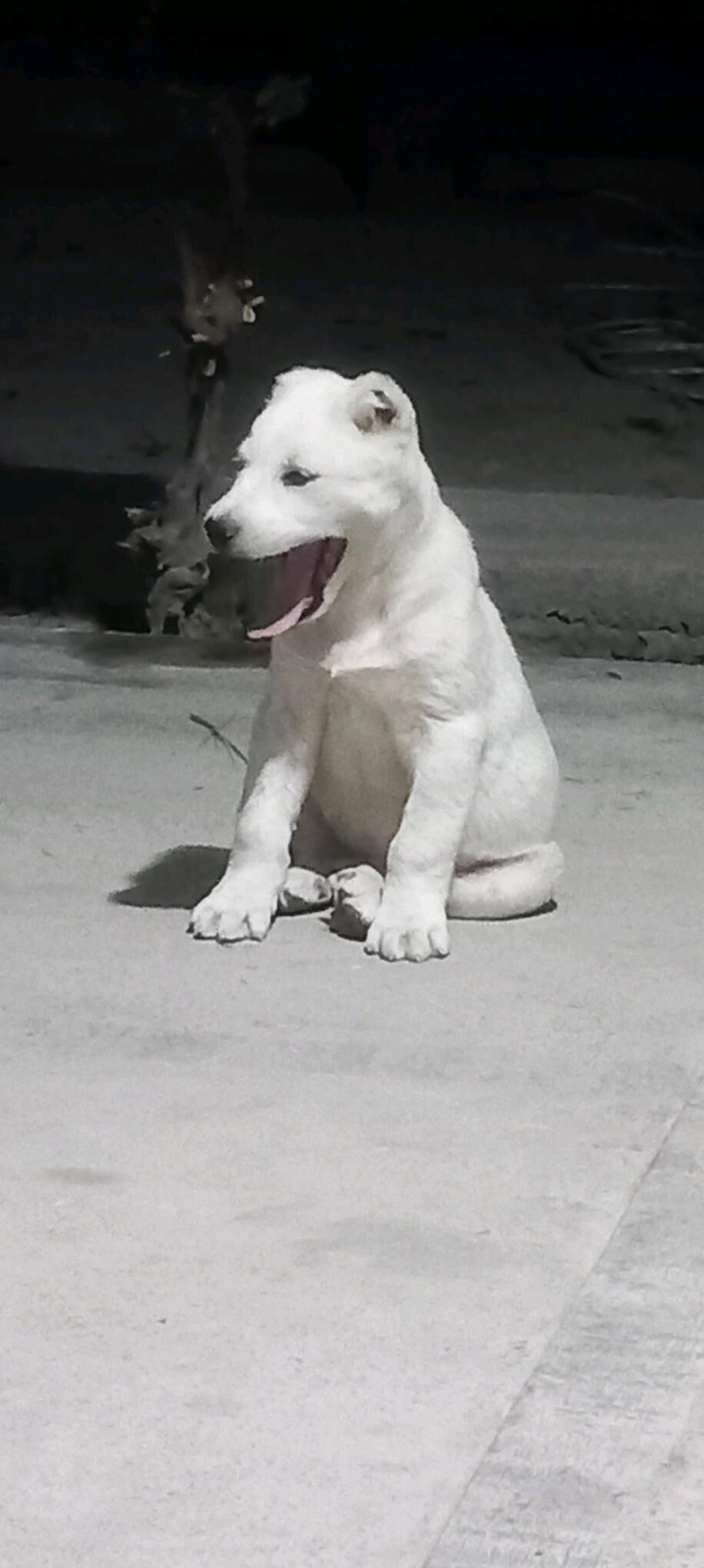 itl - Кака - img 8