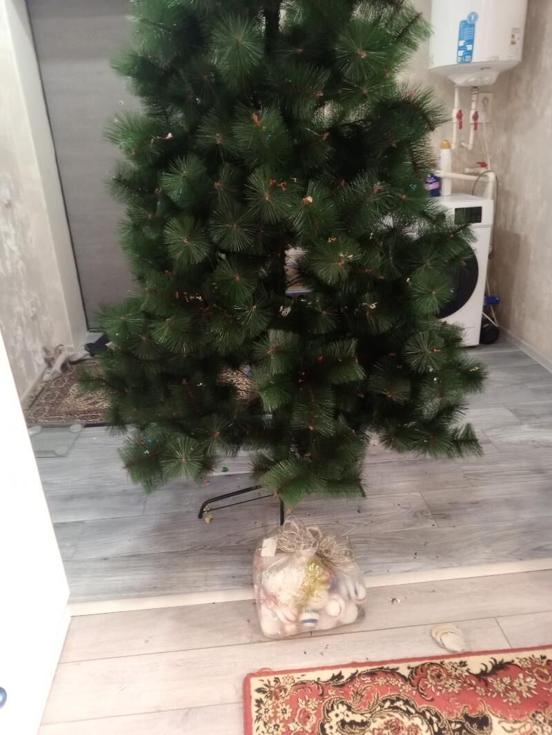 yolka - Büzmeýin - img 3