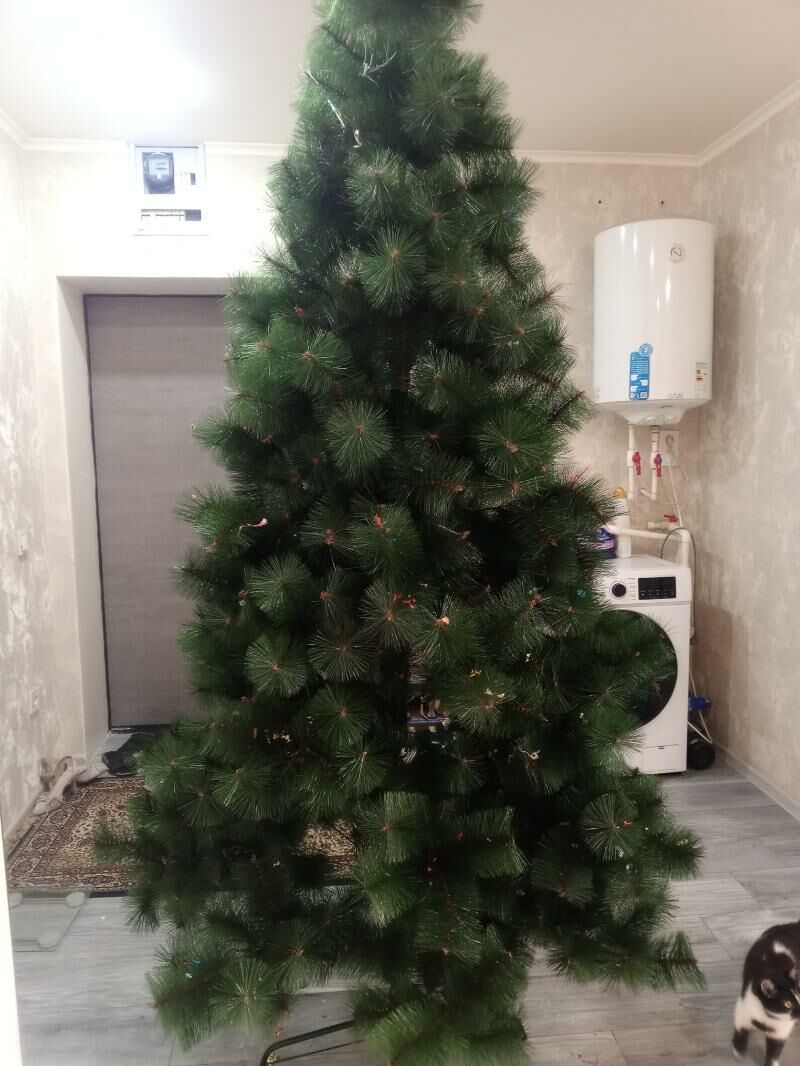 yolka - Büzmeýin - img 2