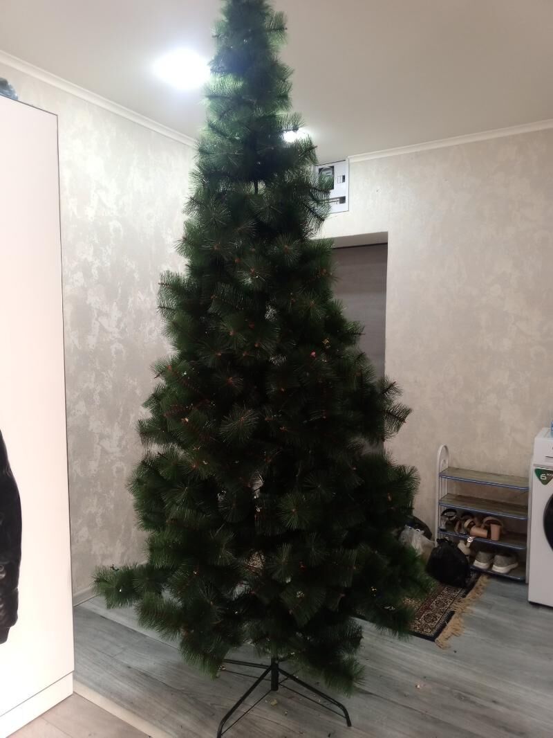 yolka - Büzmeýin - img 4