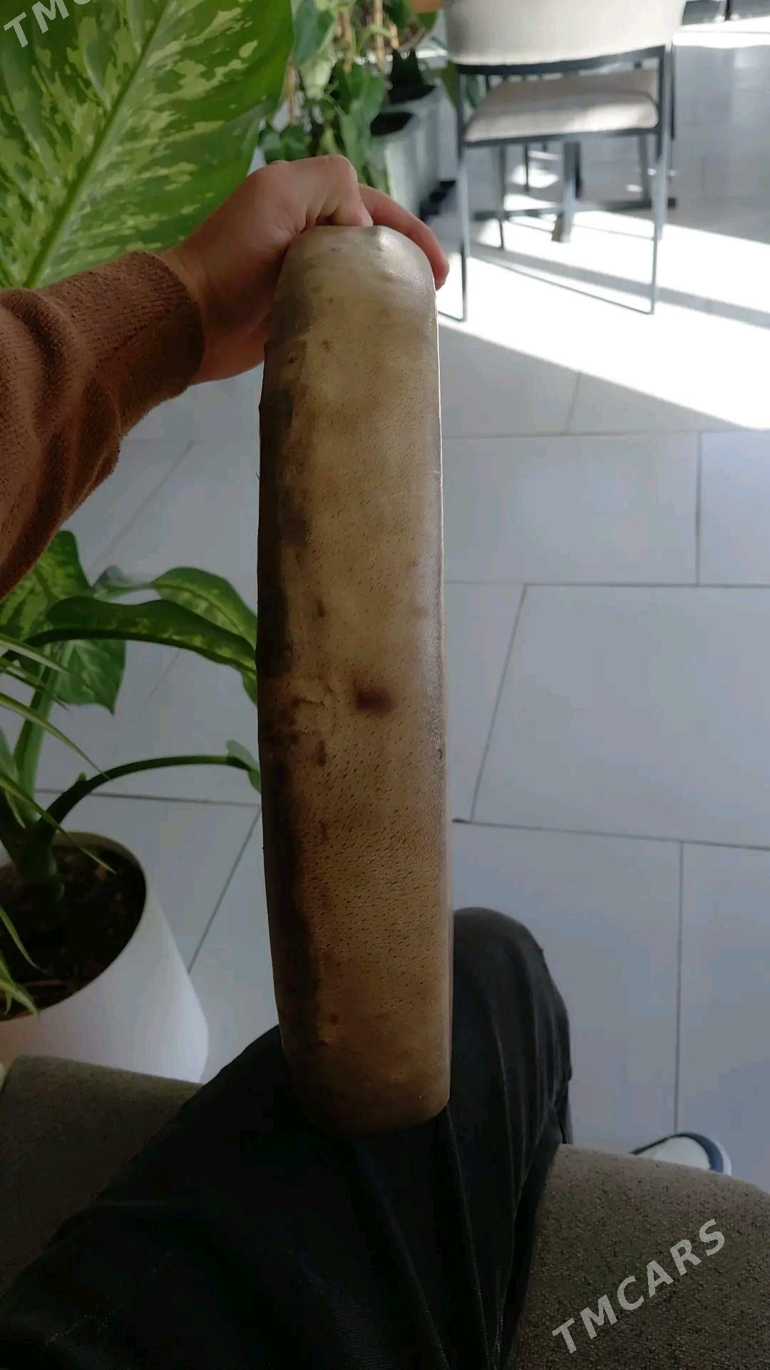 Dayra - Türkmenabat - img 3