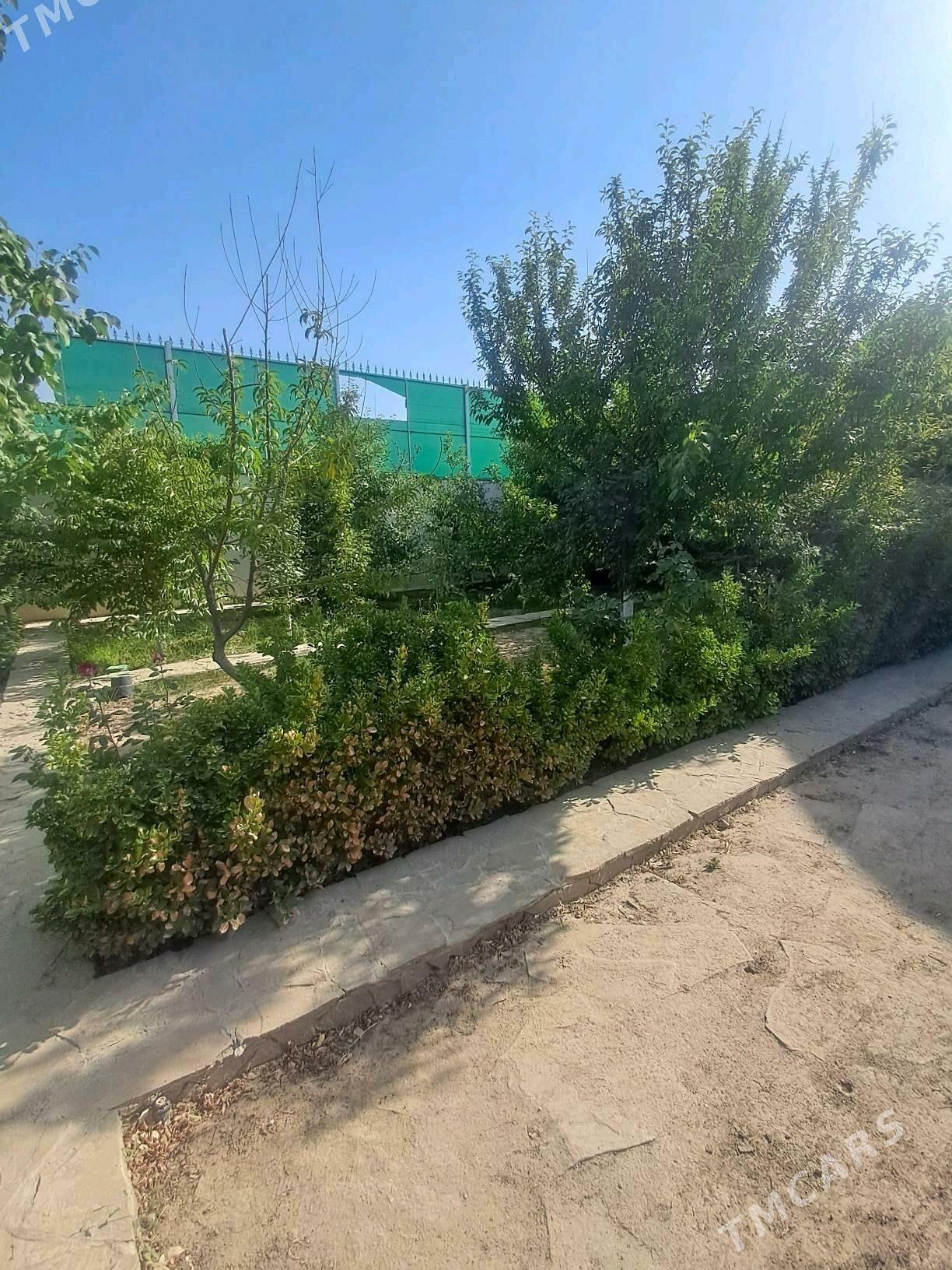 Satlyk plan Garadamak ️ - Ашхабад - img 9