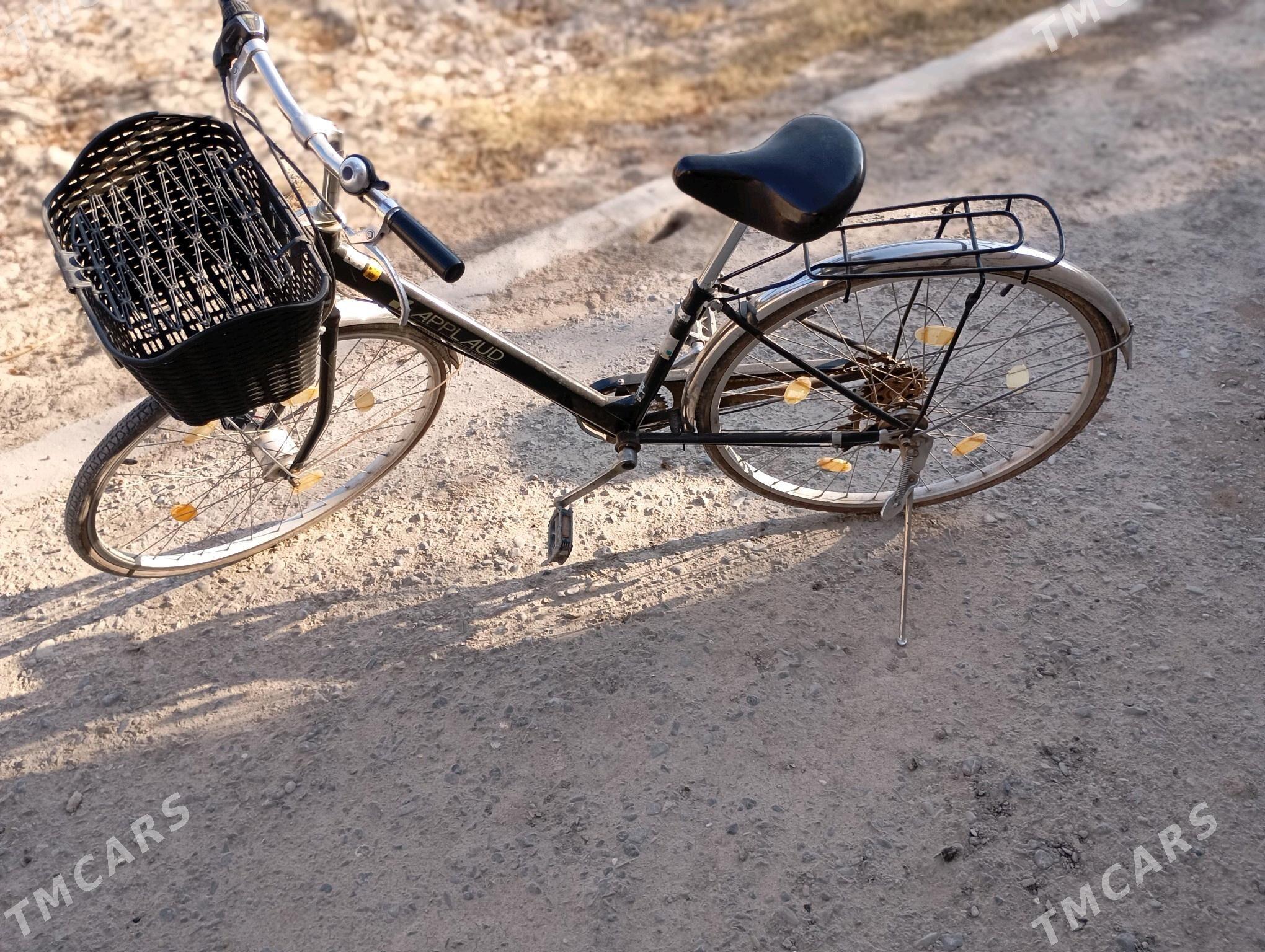 27 lik - Köneürgenç - img 2