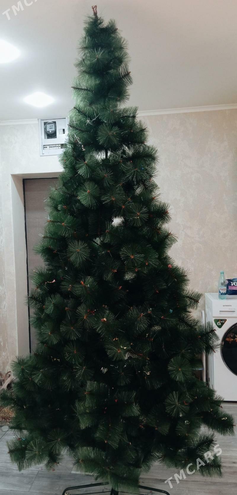 елка - Büzmeýin - img 4