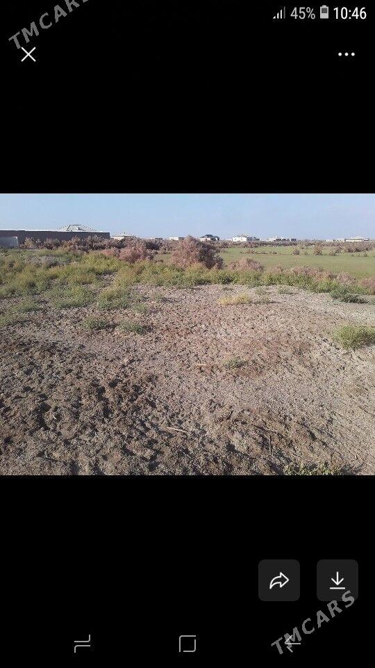 Меллек ер - Шабатский этрап - img 3