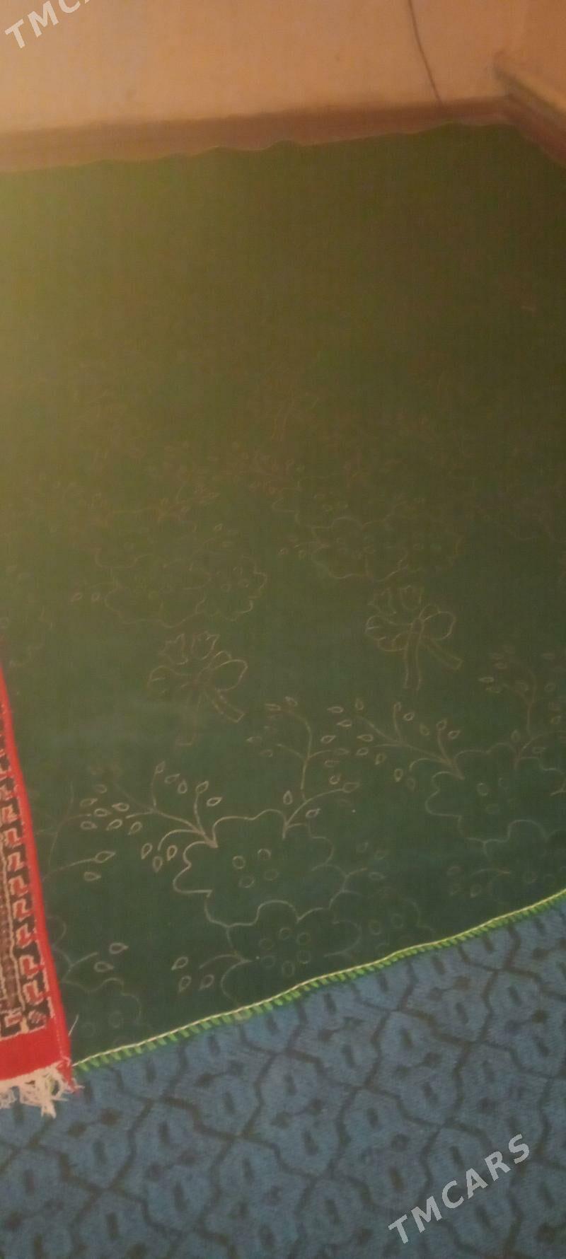 haly.daroska - Gubadag - img 2