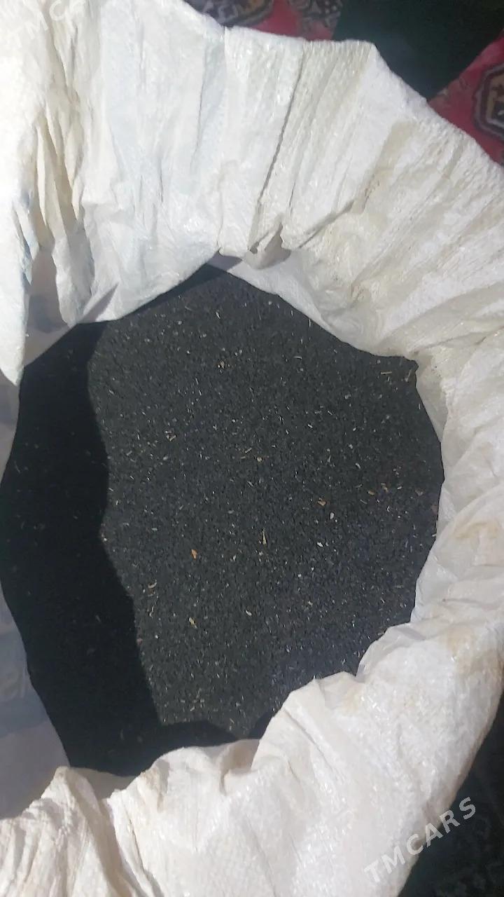 elena sogan tohum - Бахарден - img 6