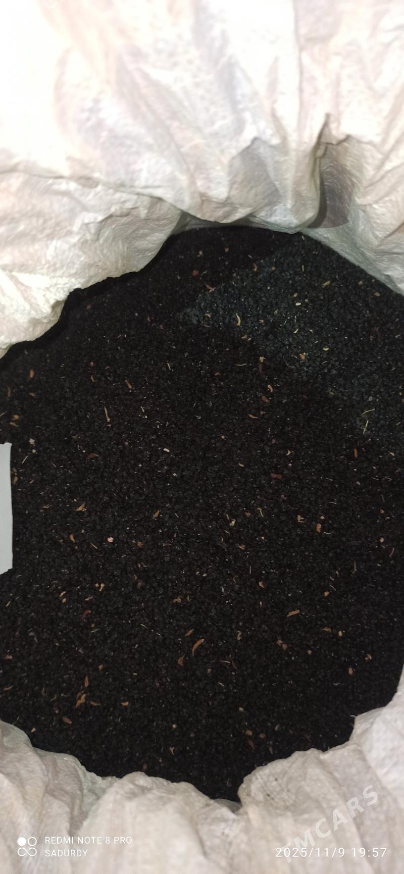 elena sogan tohum - Бахарден - img 3