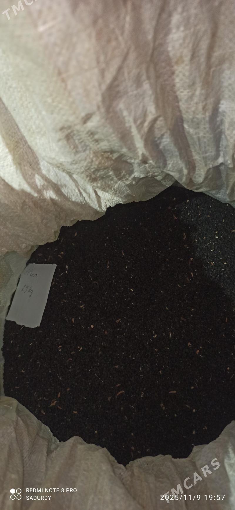 elena sogan tohum - Бахарден - img 5