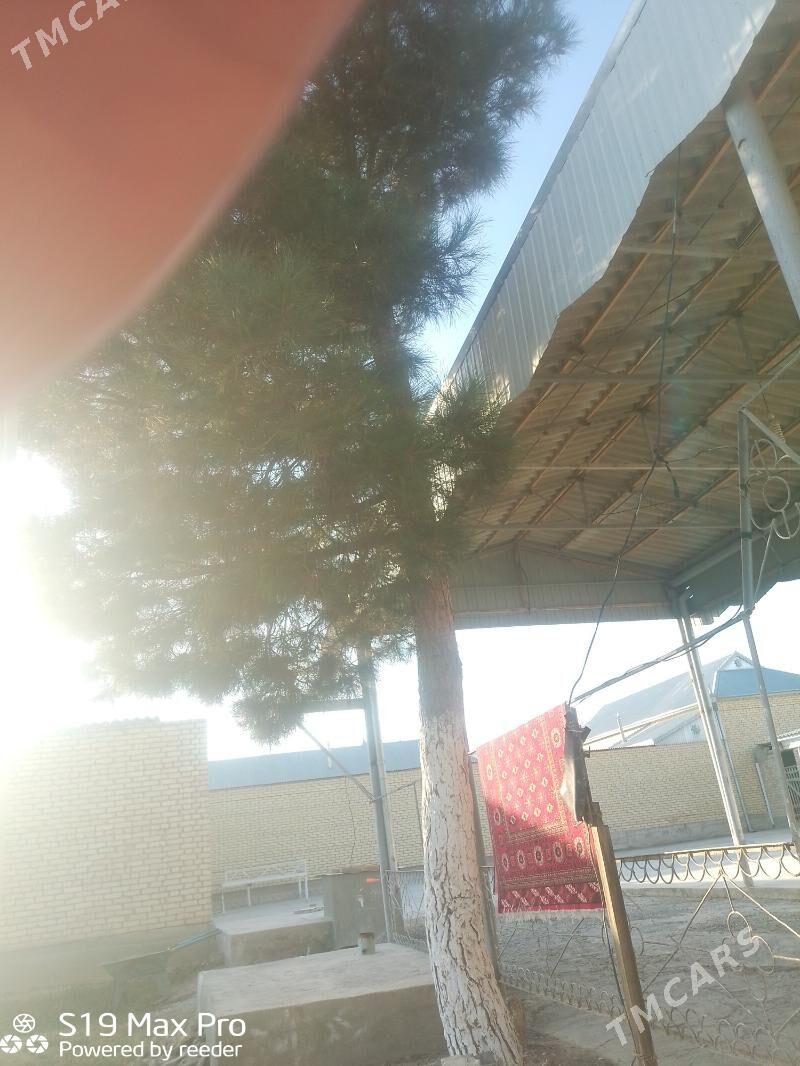 arça - Байрамали - img 2