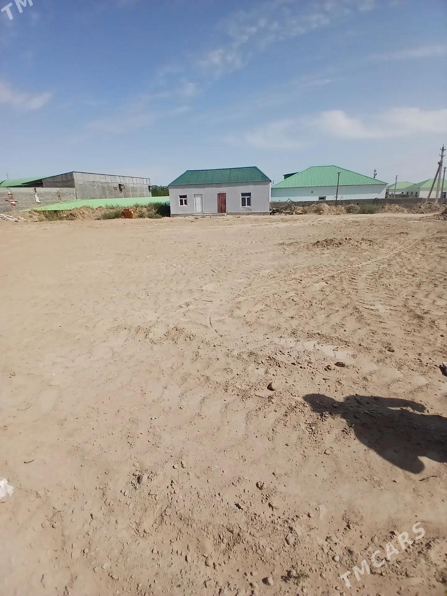 Änew Magtymguly 16 sotuk yer - Ак-Бугдайский этрап - img 2