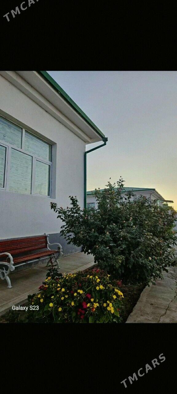 Gökdepe(Şorgala). Elitka  - Gökdepe - img 2