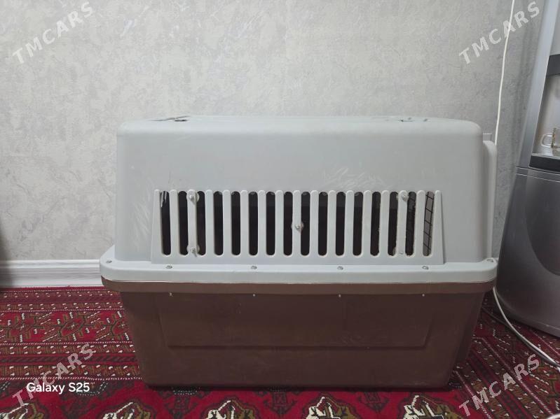 Клетка для перевозки собак - Ашхабад - img 5