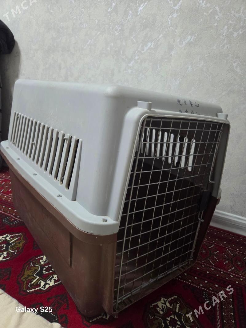 Клетка для перевозки собак - Ашхабад - img 2