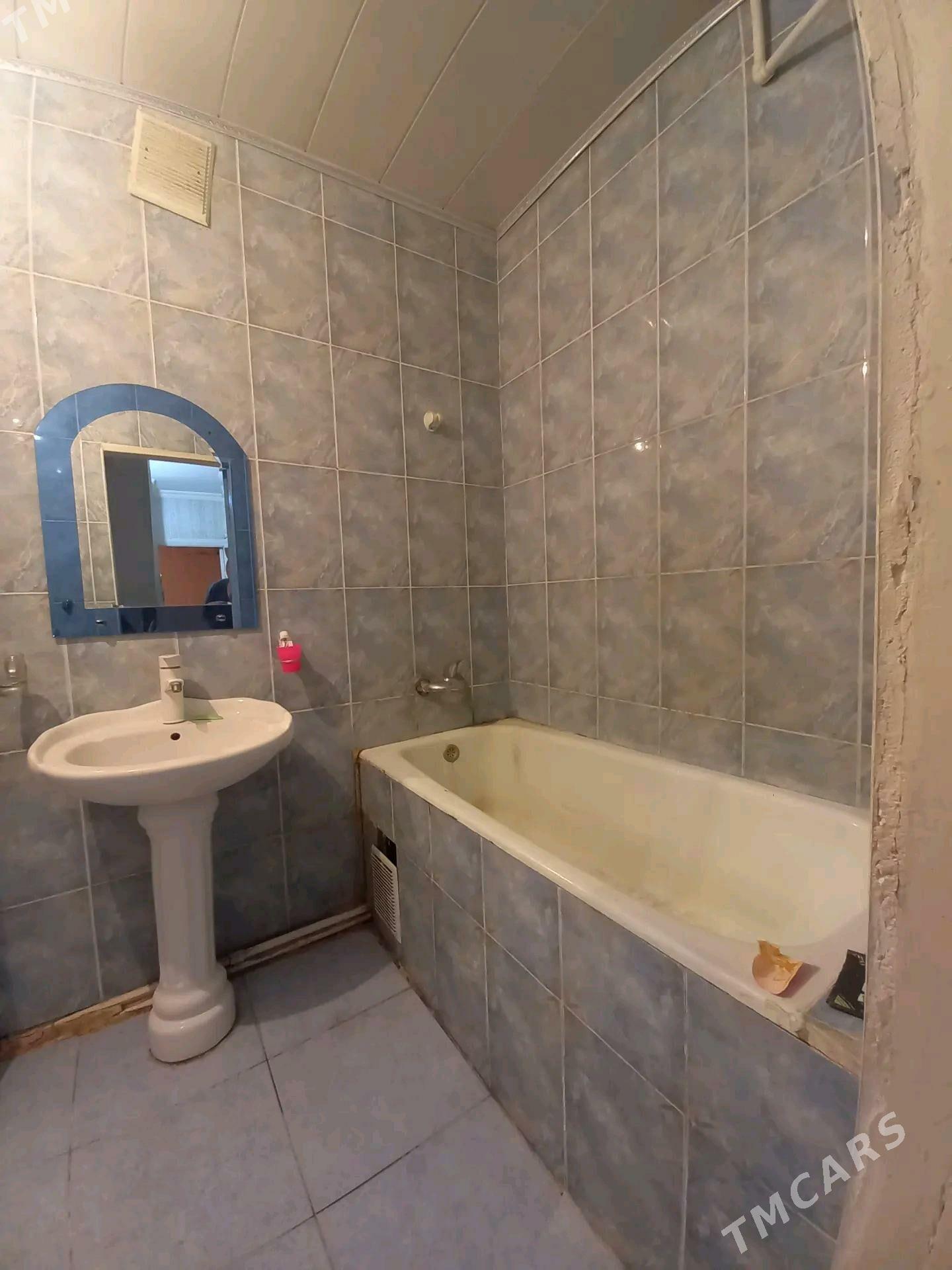 Satlyk jay - Мары - img 4