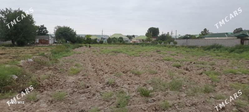 Melek yer - Aşgabat - img 2