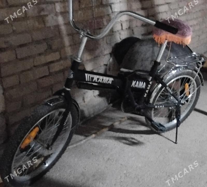 Kama tigir - Gurtly - img 2