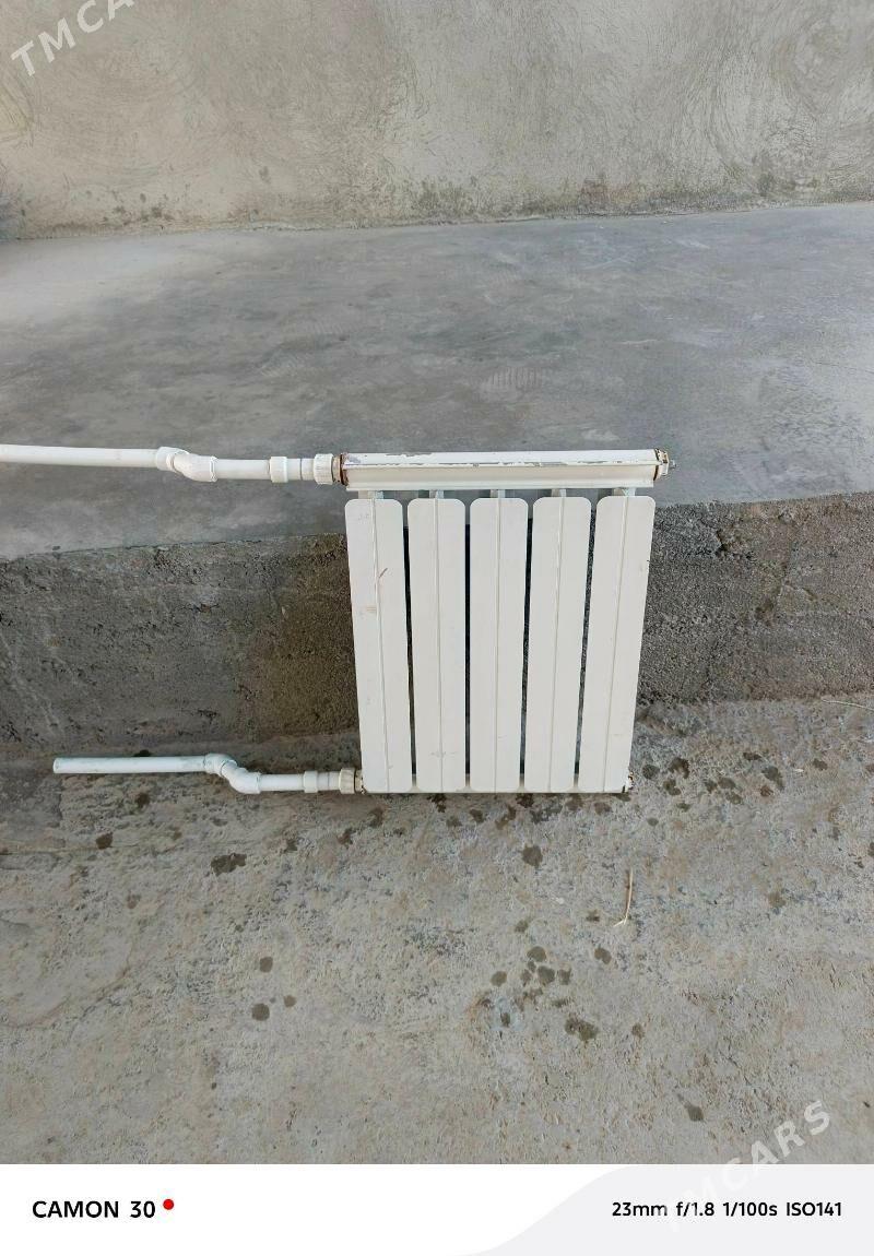 Ataplenýa - Büzmeýin - img 2