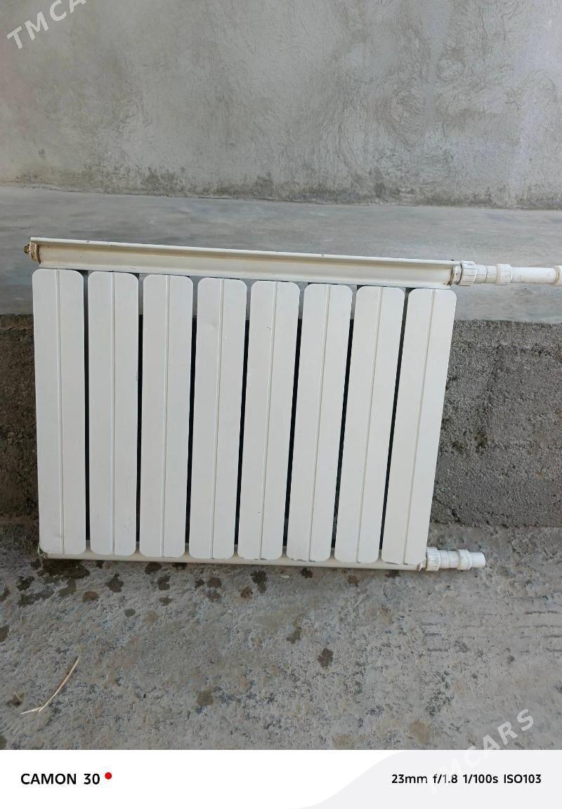 Ataplenýa - Büzmeýin - img 3