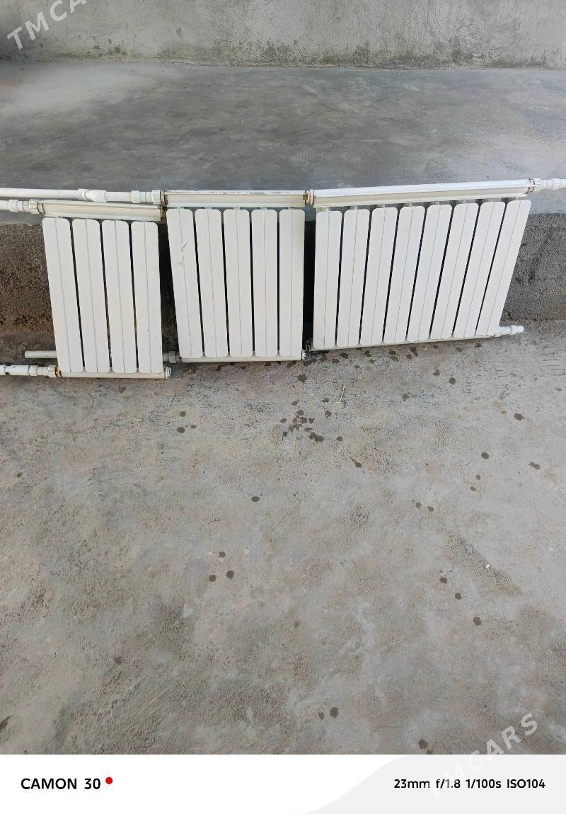 Ataplenýa - Büzmeýin - img 4