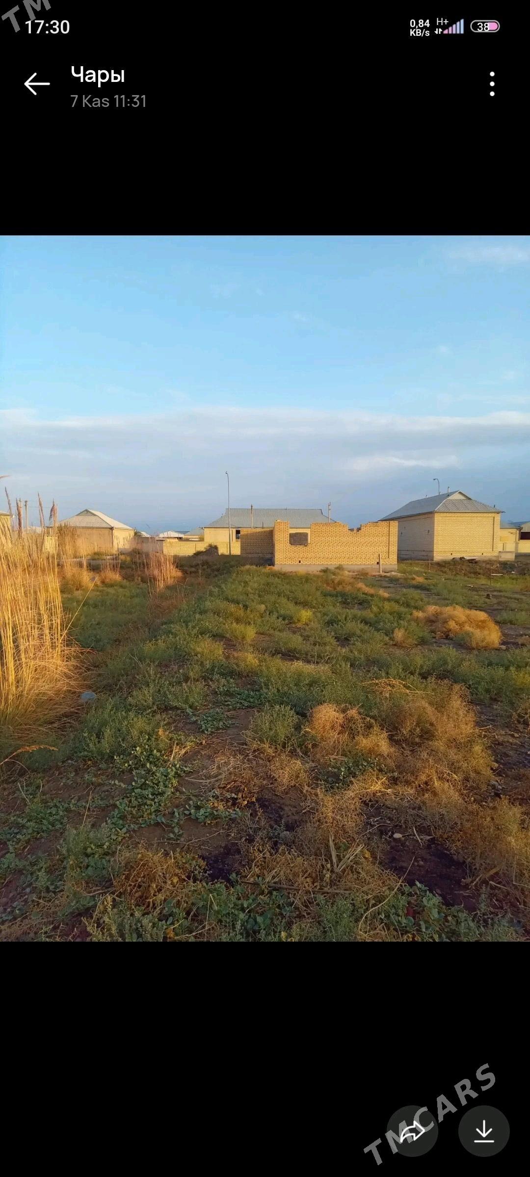 mellek - Мары - img 5