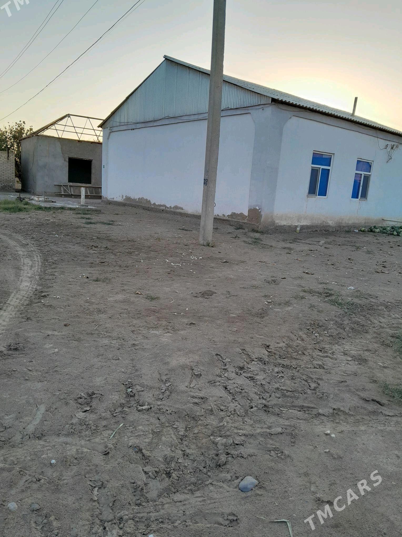 plan jaý - Сакарчага - img 2