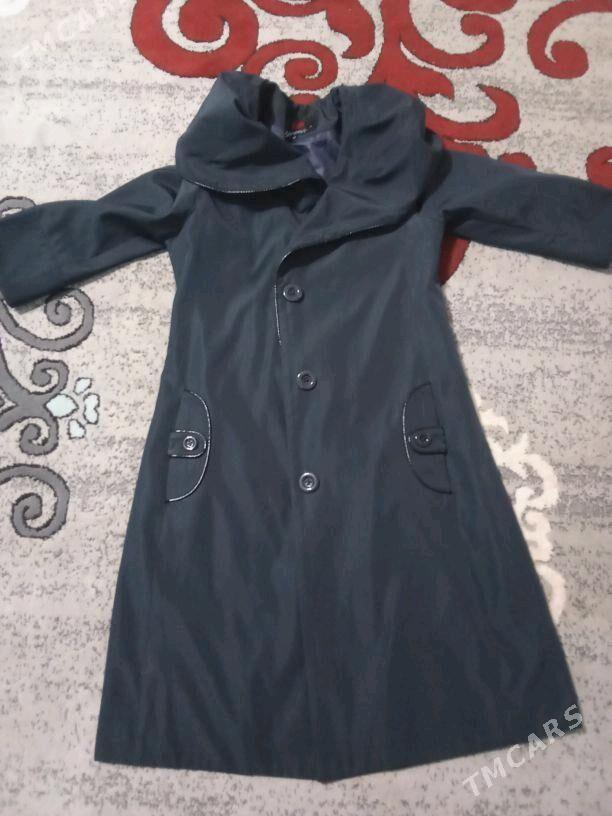 plaşopka - Gumdag - img 2