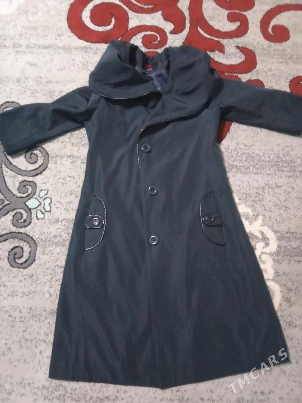 plaşopka - Gumdag - img 1