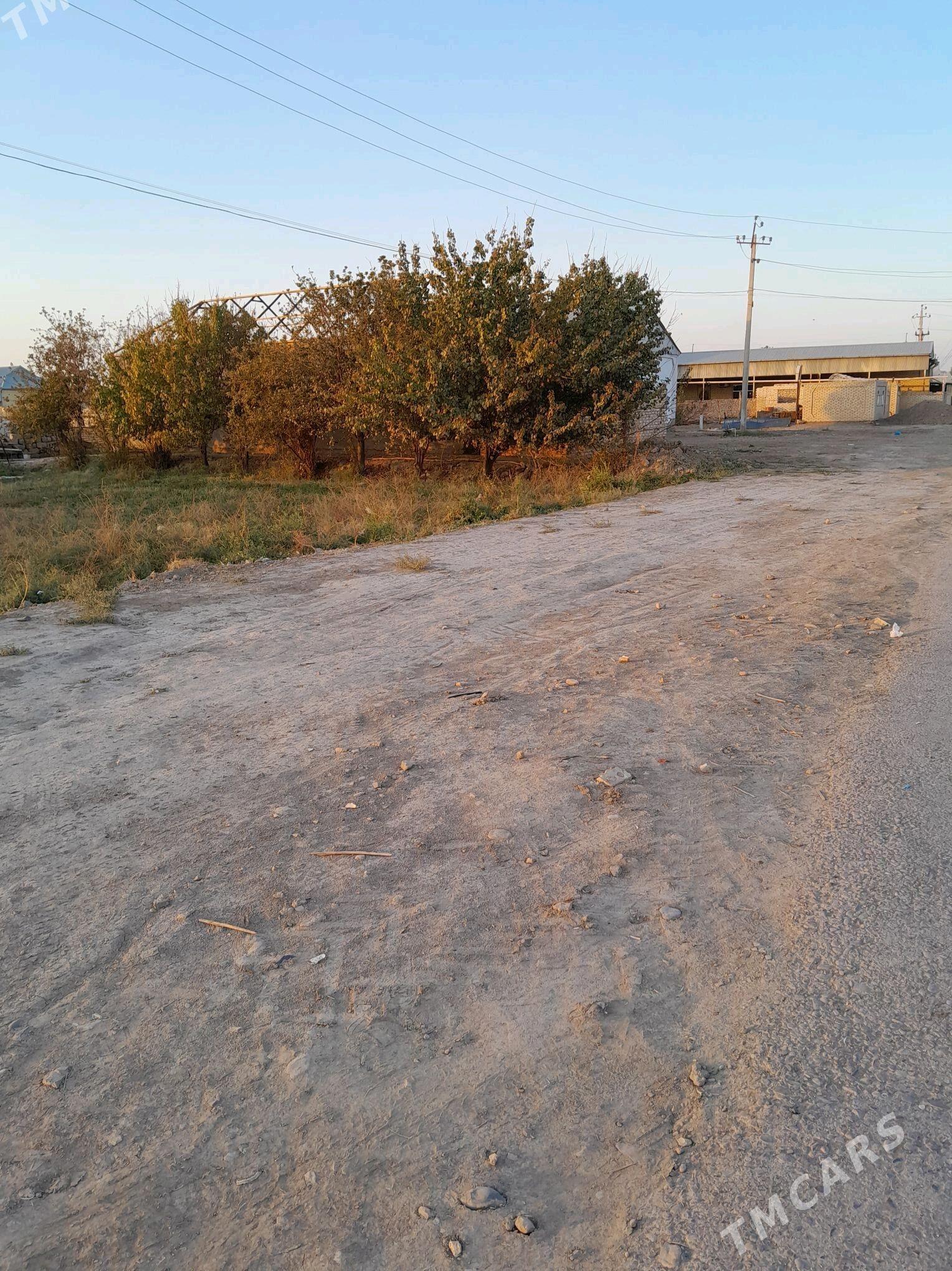 plan jaý - Сакарчага - img 7