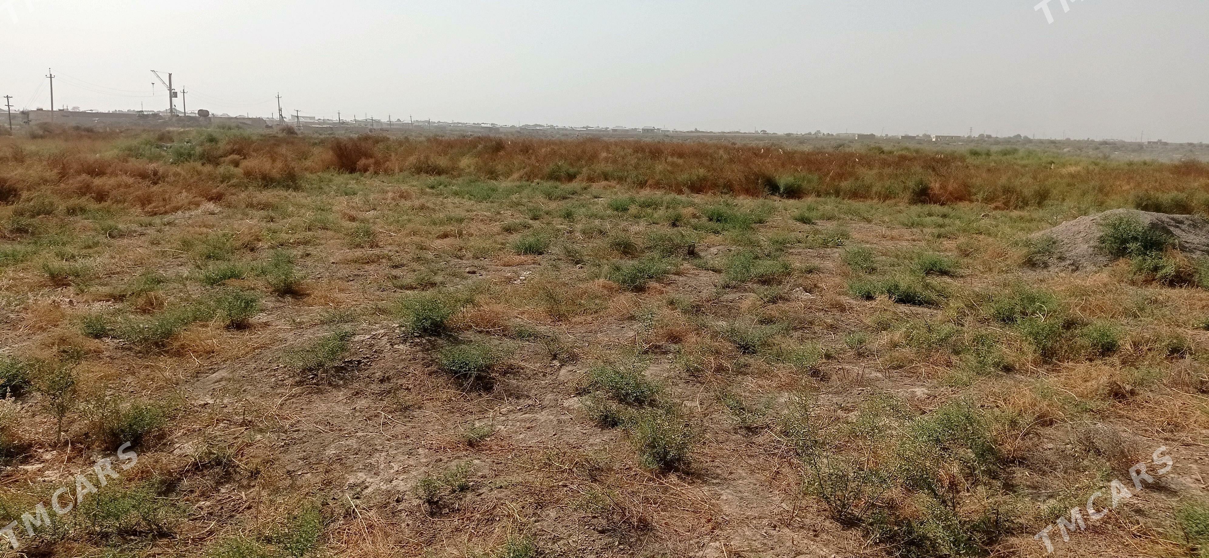 satlyk boş mellek ýer. - Baýramaly - img 2