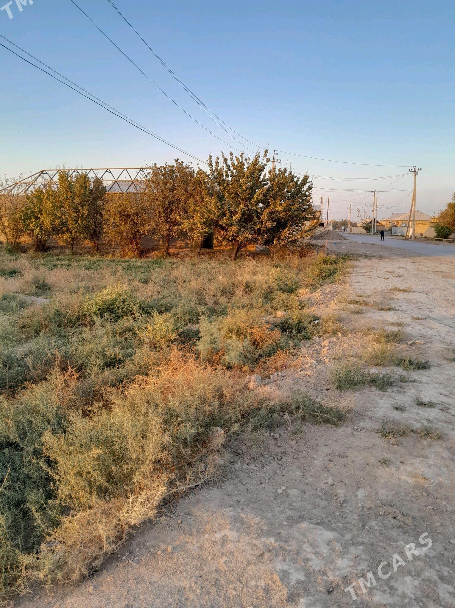 plan jaý - Сакарчага - img 8