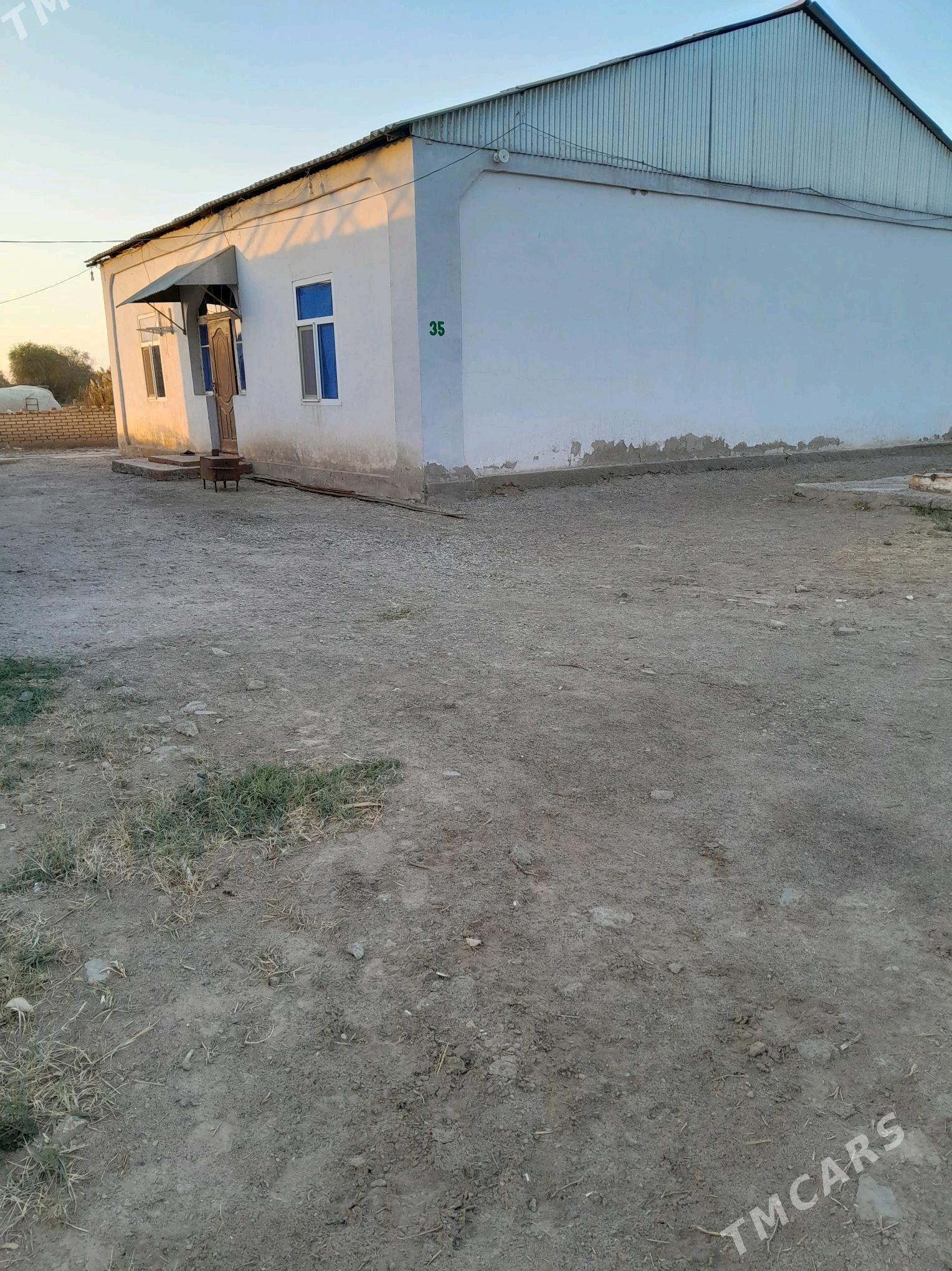 plan jaý - Сакарчага - img 9