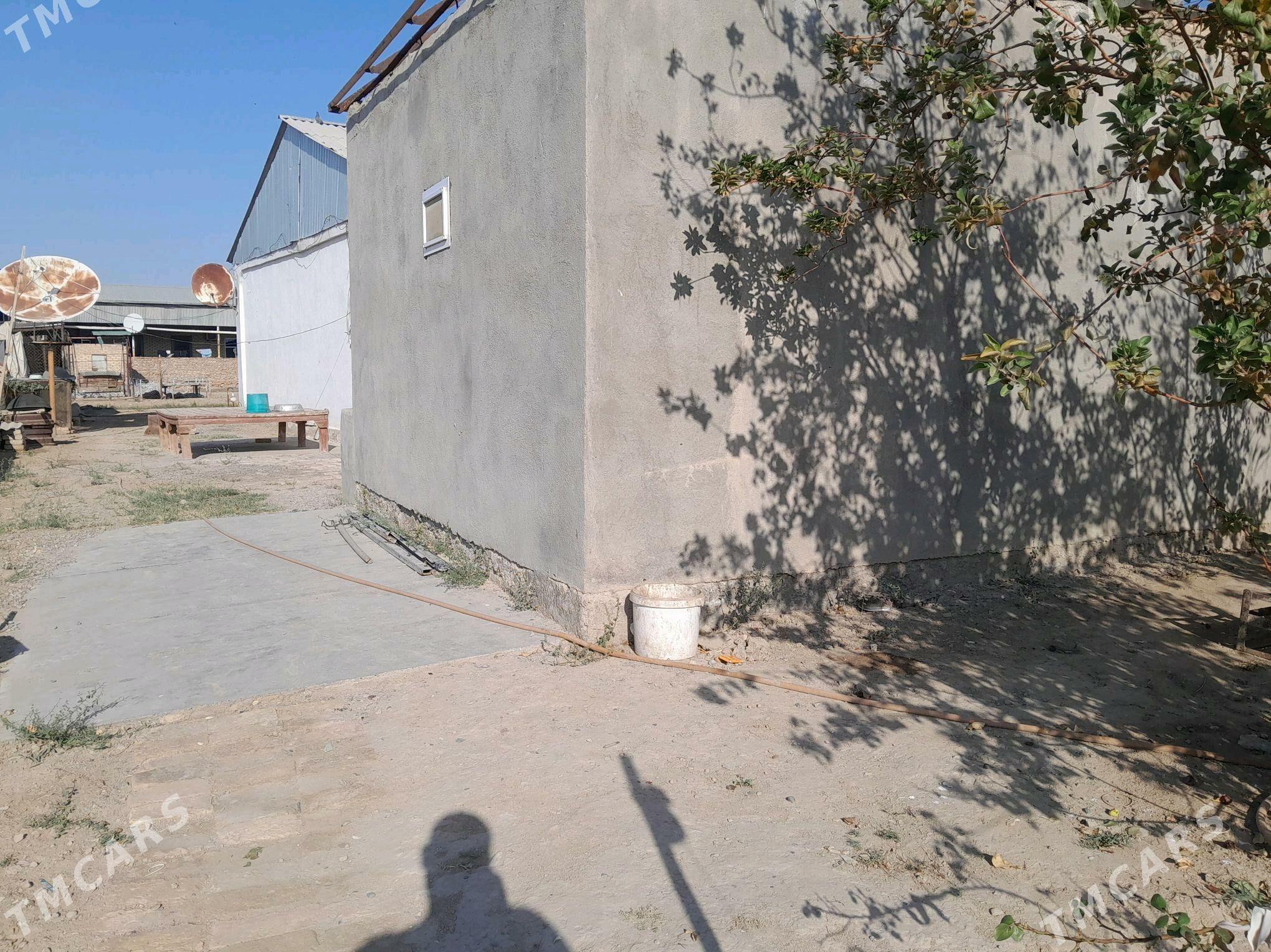 plan jaý - Сакарчага - img 10