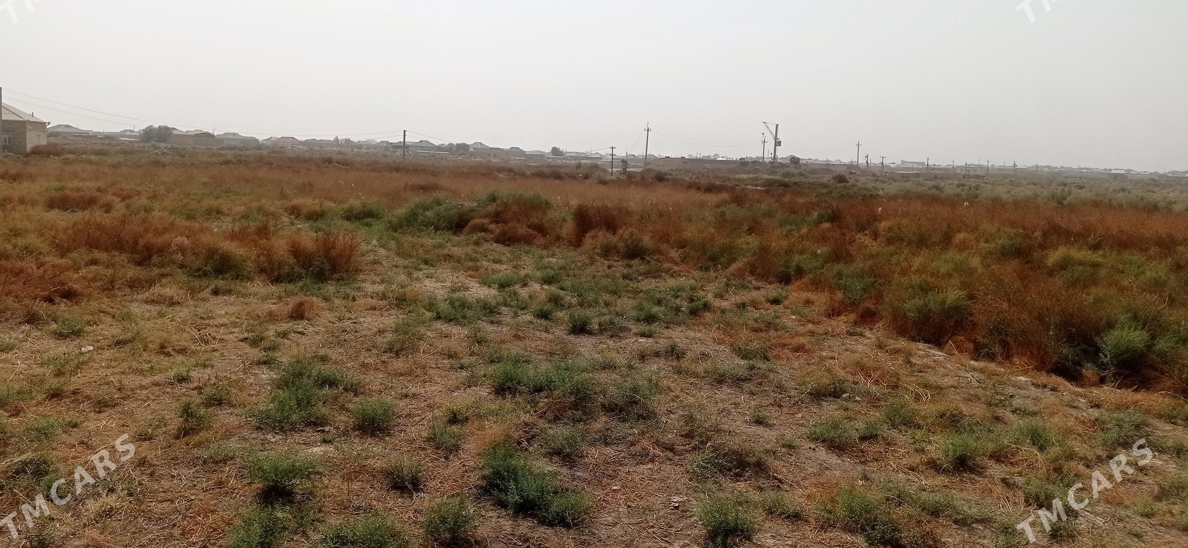 satlyk boş mellek ýer. - Baýramaly - img 1