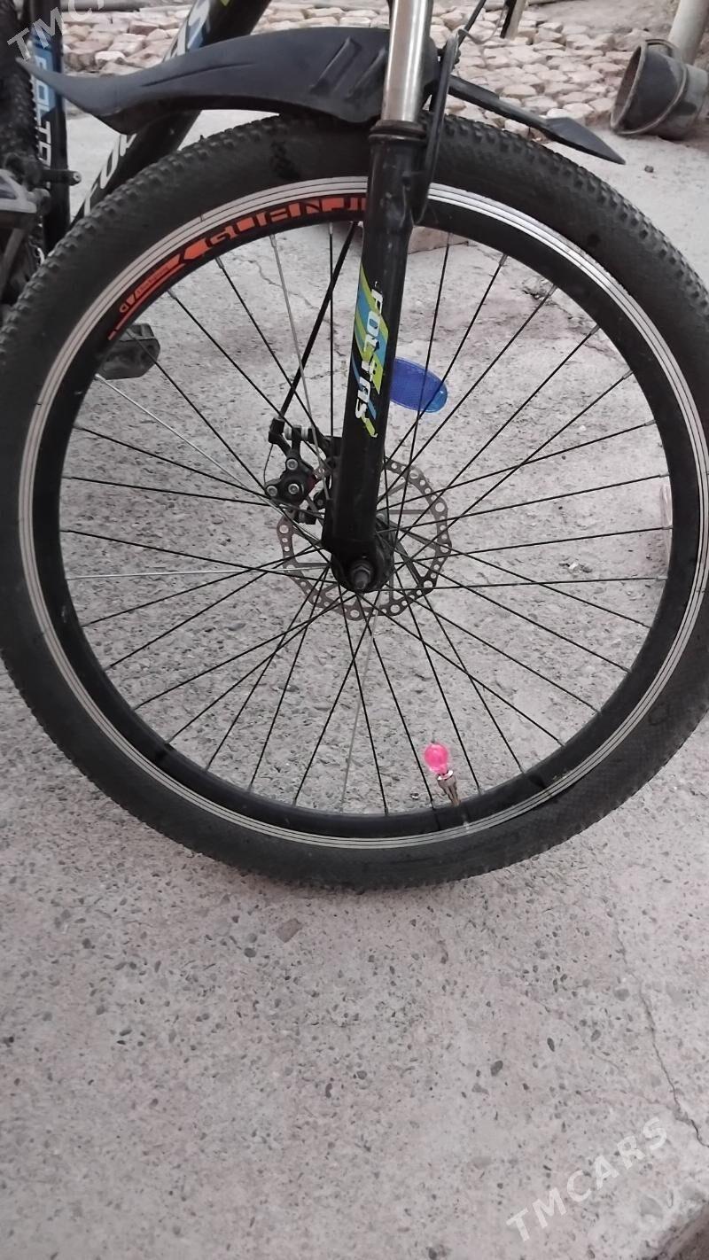 welosiped - Mary - img 3