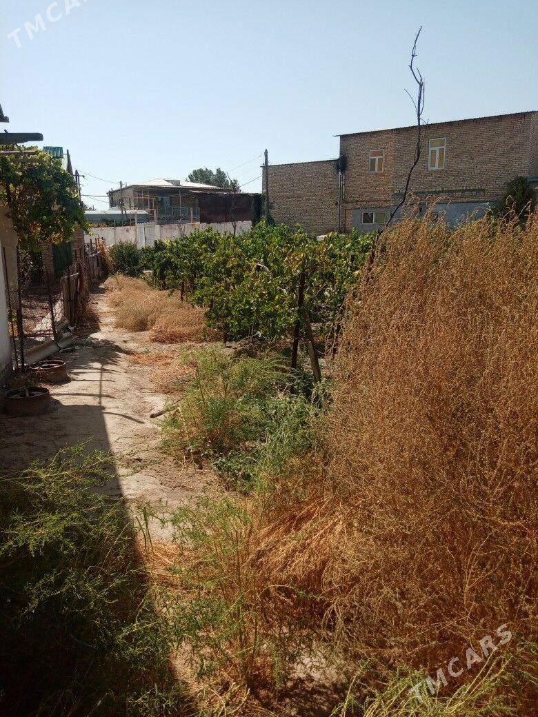 Satlyk daca 5 sotka - Туркменабат - img 3