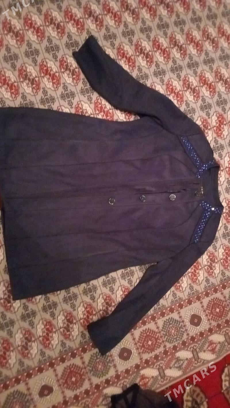 zempir - Änew - img 4